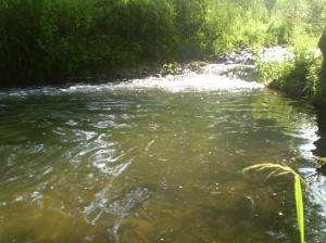 река Ръчене